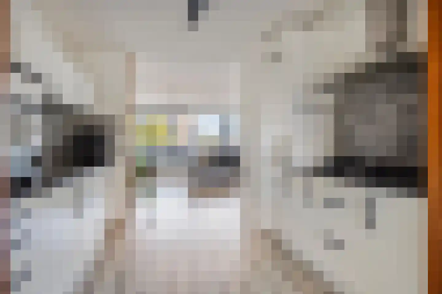 Rietvoorn 10 Amersfoort thumbnail 4