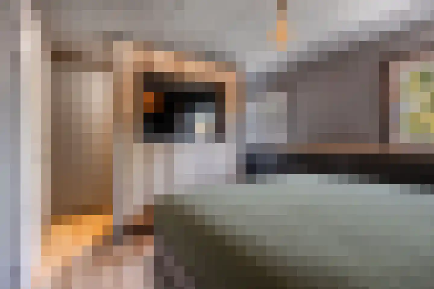Rietvoorn 10 Zuid-Scharwoude thumbnail 28