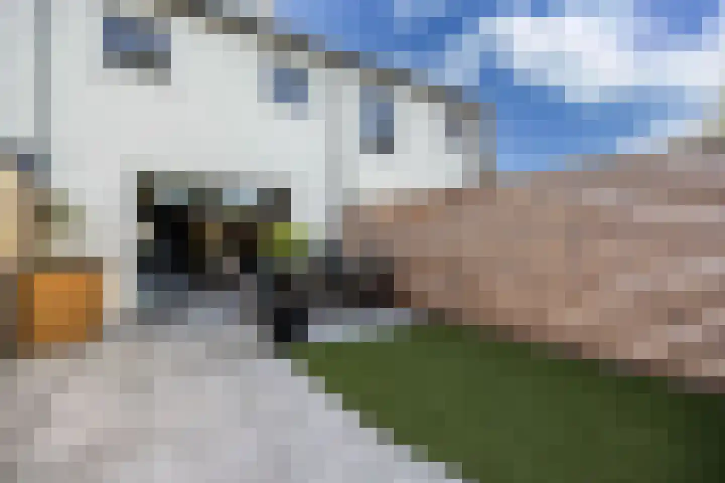 Rietvoorn 10 Zuid-Scharwoude thumbnail 38