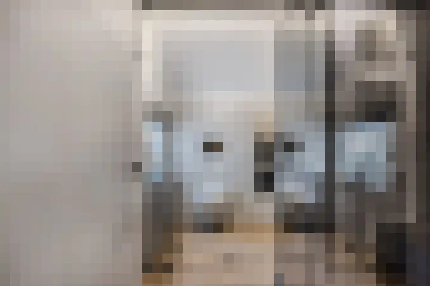 Rietvoorn 10 Zuid-Scharwoude thumbnail 4