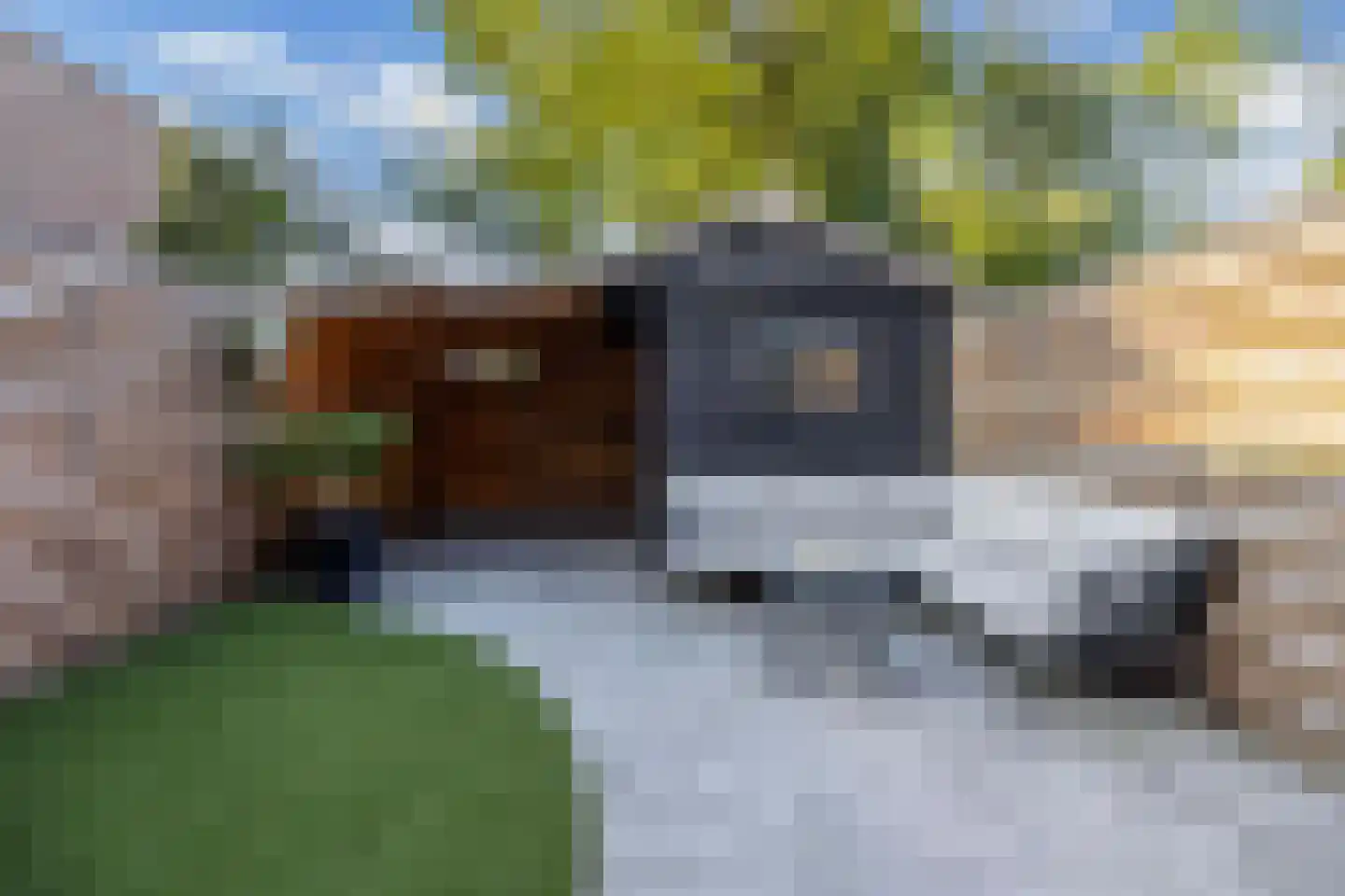 Rietvoorn 10 Zuid-Scharwoude thumbnail 40