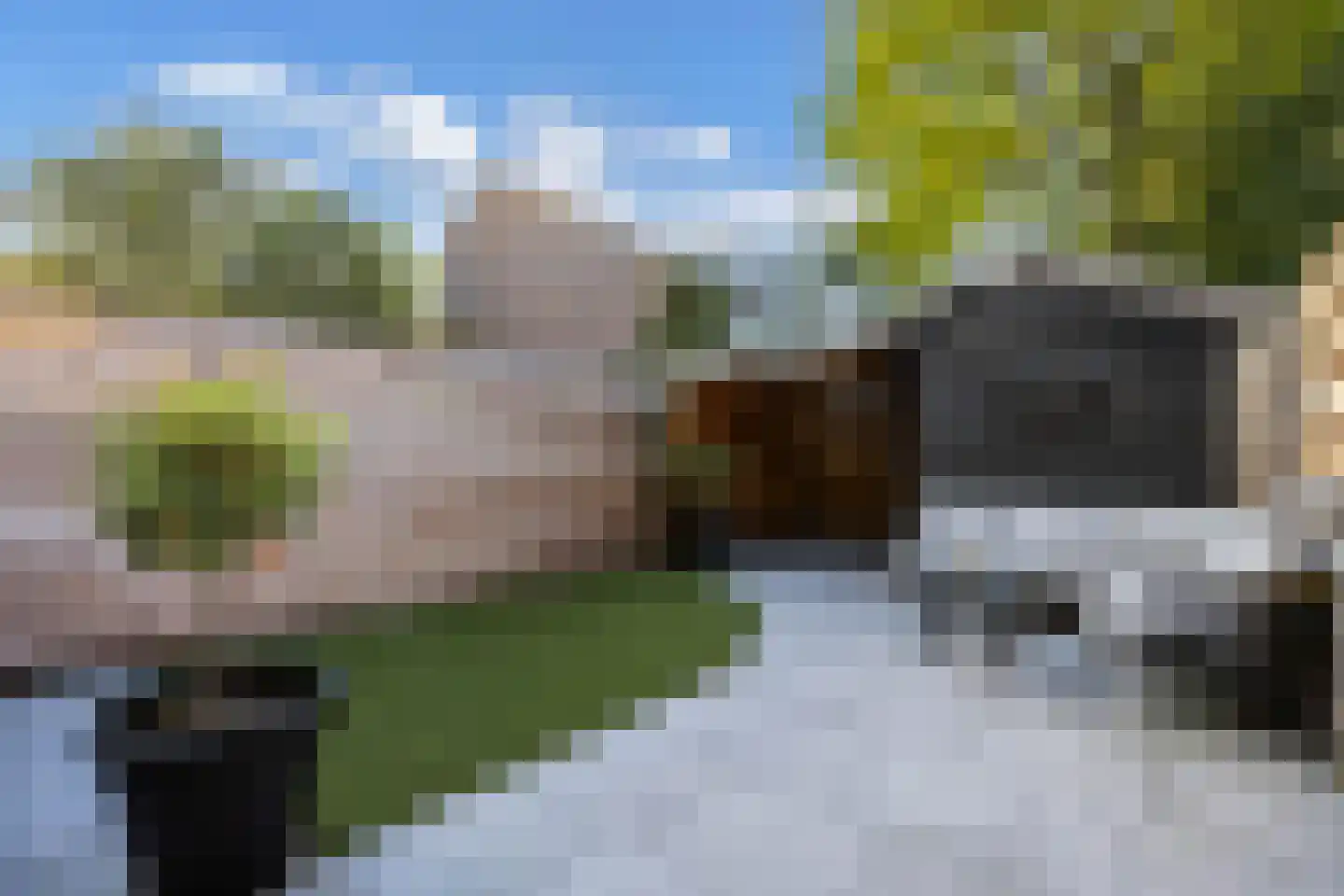Rietvoorn 10 Zuid-Scharwoude thumbnail 42