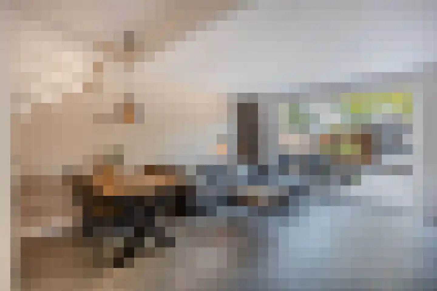 Rietvoorn 10 Zuid-Scharwoude thumbnail 6