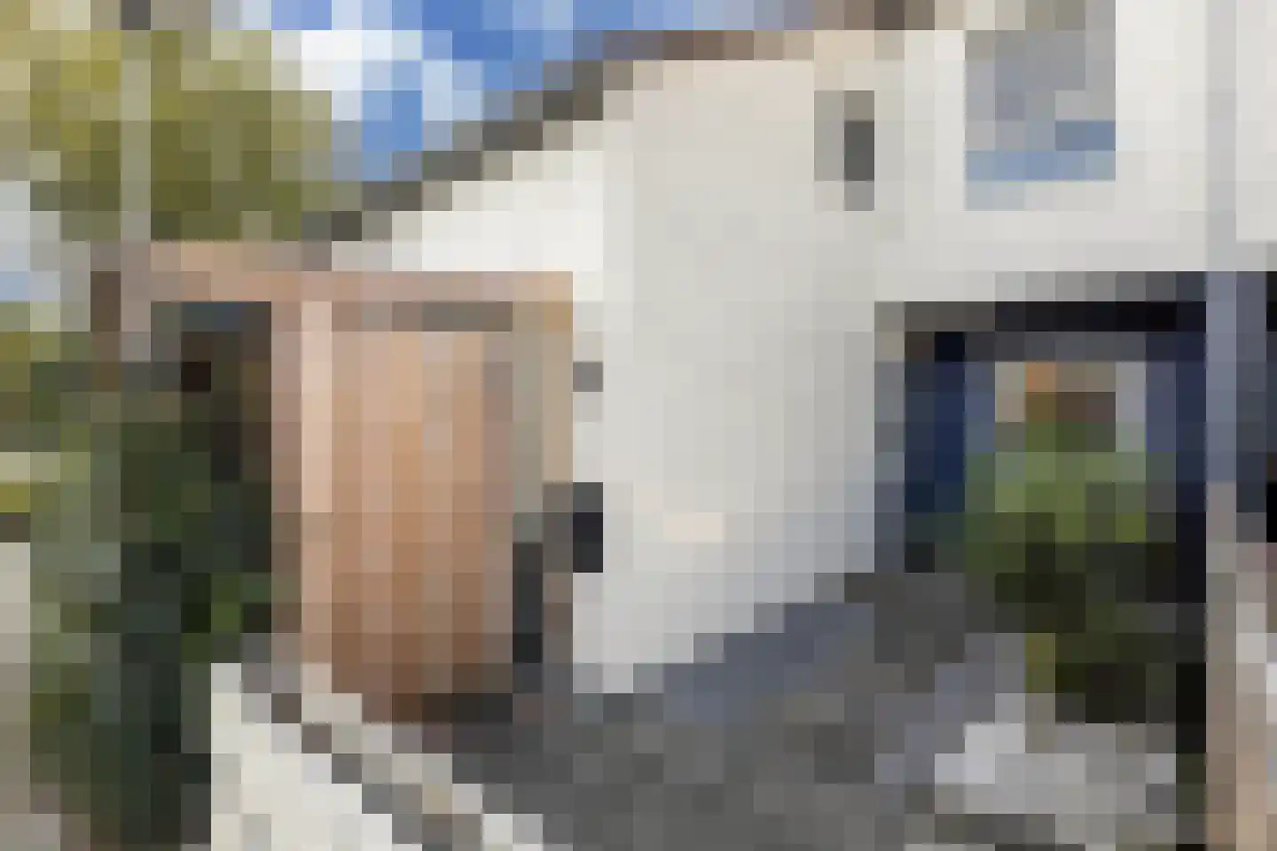 Rietvoorn 10 Zuid-Scharwoude thumbnail 8