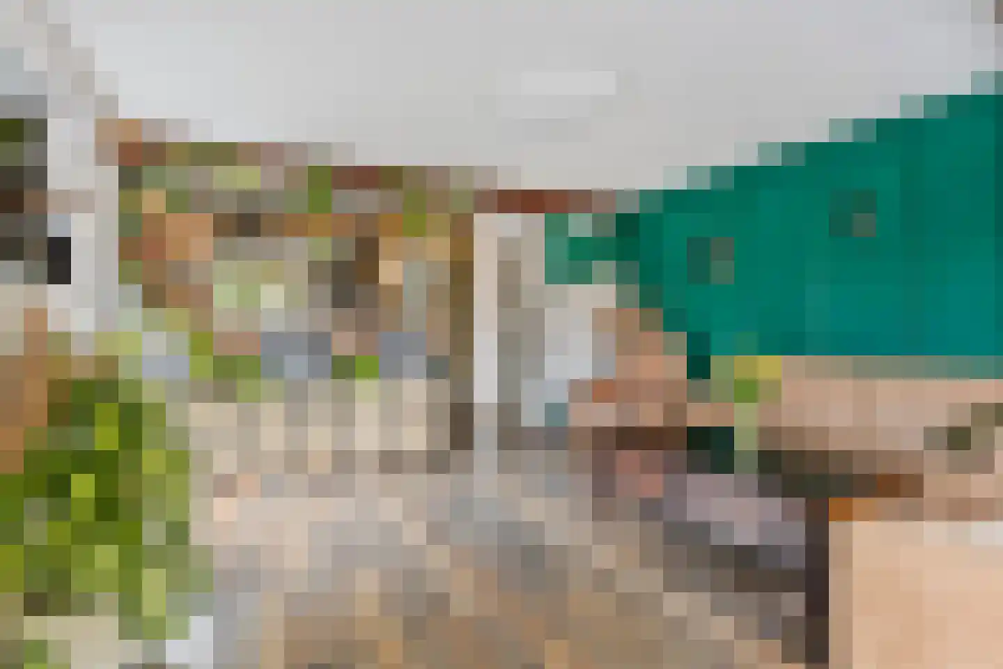 Rietvoorn 14 Zuid-Scharwoude thumbnail 10