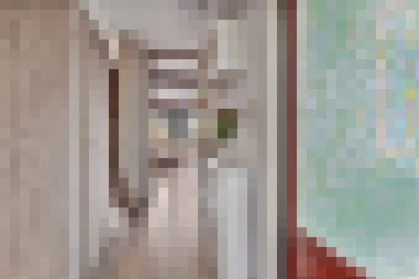 Rietvoorn 14 Zuid-Scharwoude thumbnail 17