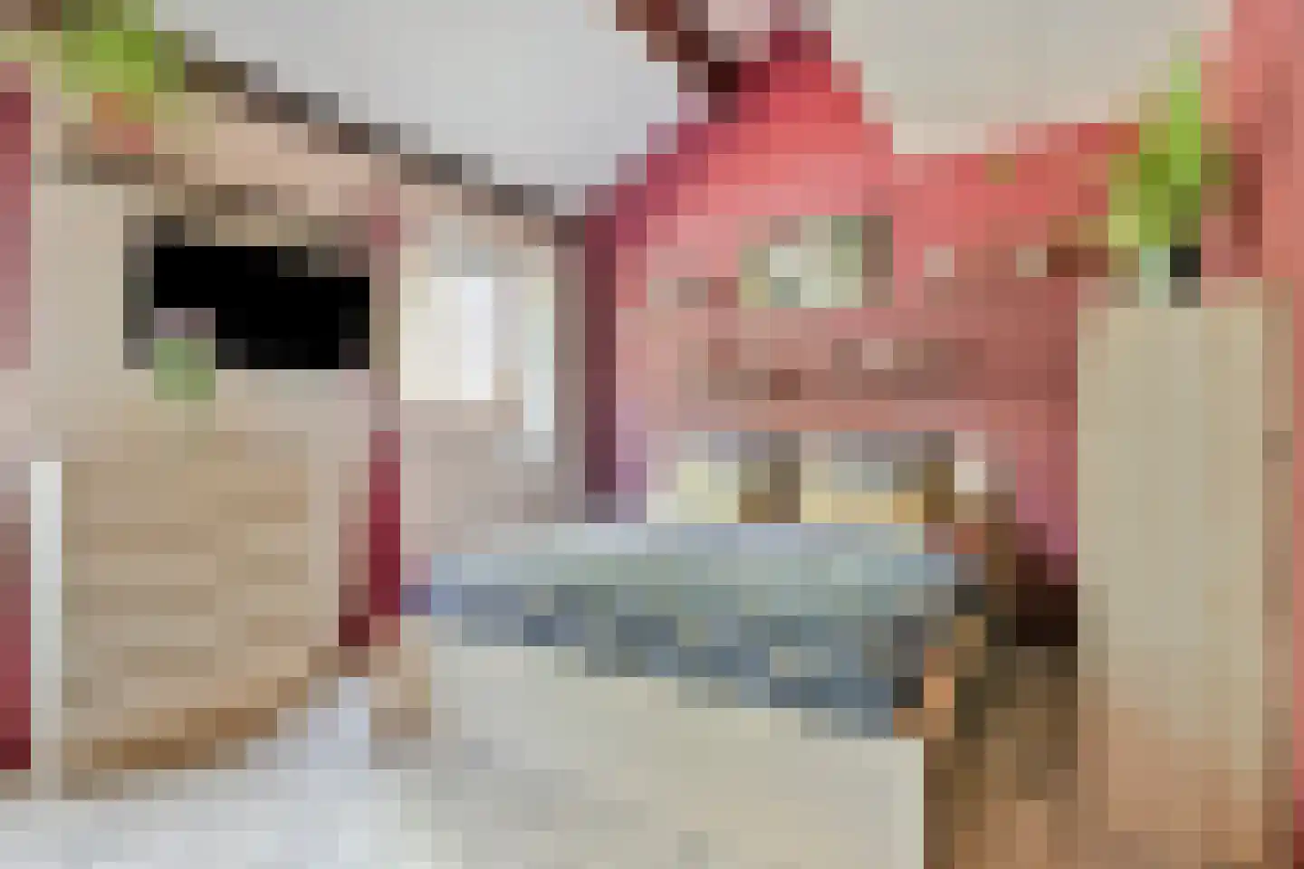 Rietvoorn 14 Zuid-Scharwoude thumbnail 18