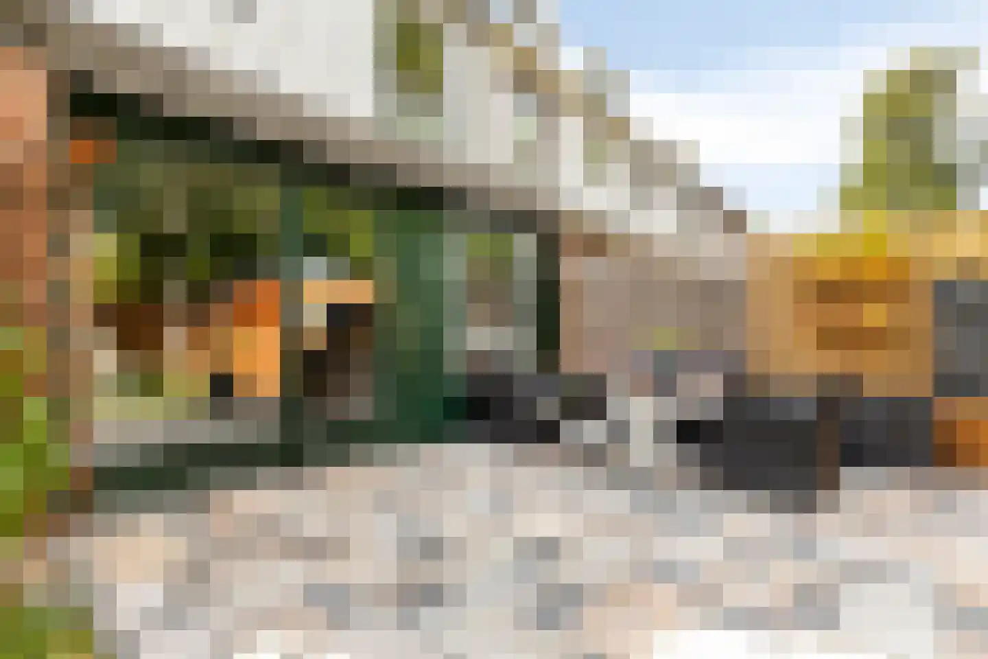 Rietvoorn 14 Zuid-Scharwoude thumbnail 26