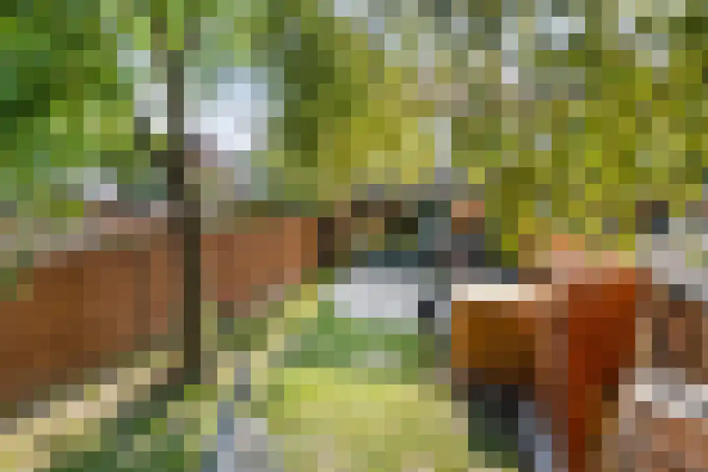 Rietvoorn 14 Zuid-Scharwoude thumbnail 28