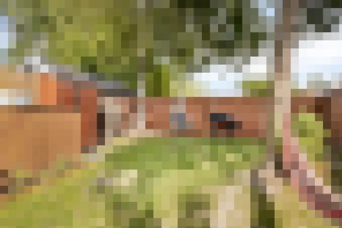 Rietvoorn 14 Zuid-Scharwoude thumbnail 30
