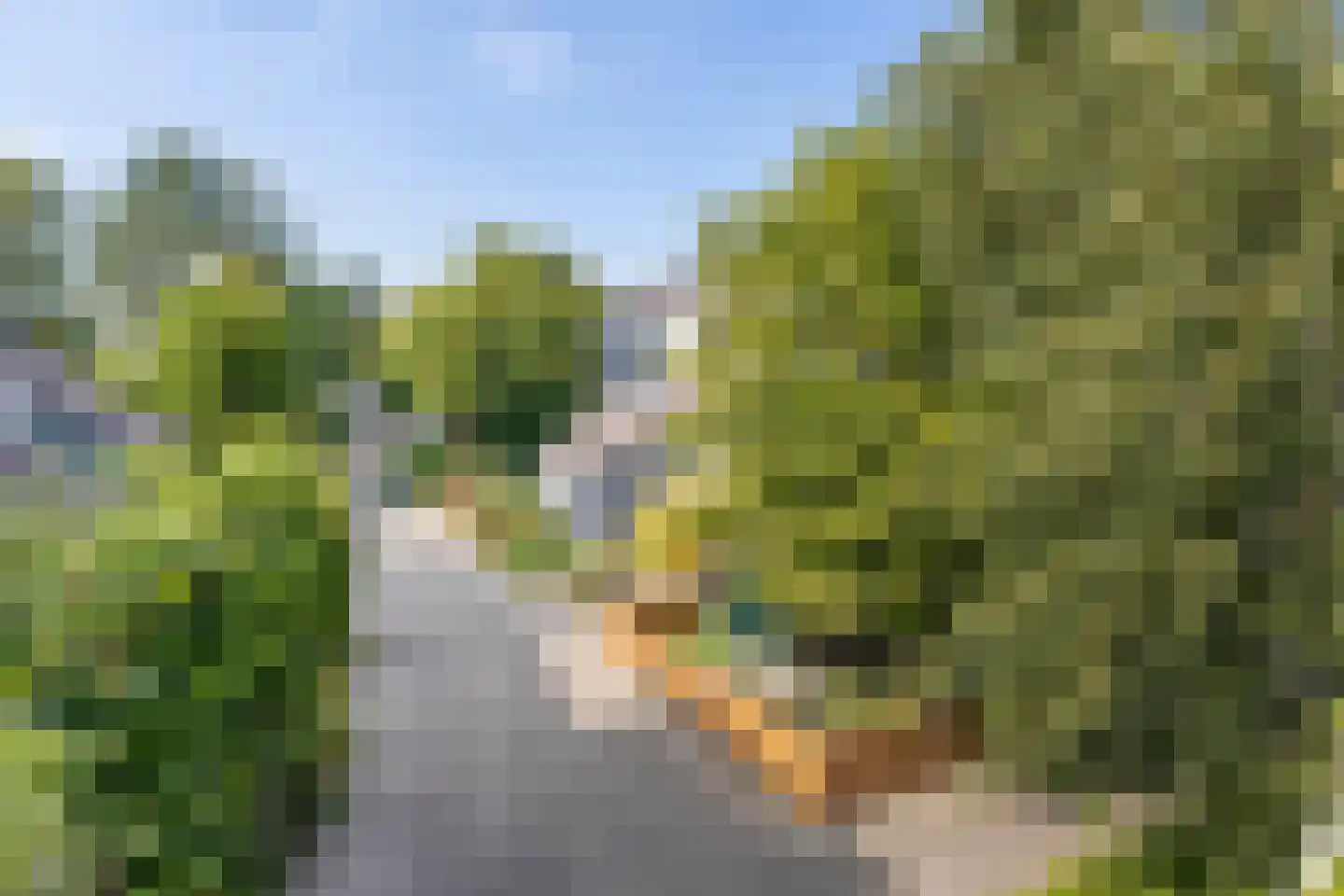 Rietvoorn 14 Zuid-Scharwoude thumbnail 32