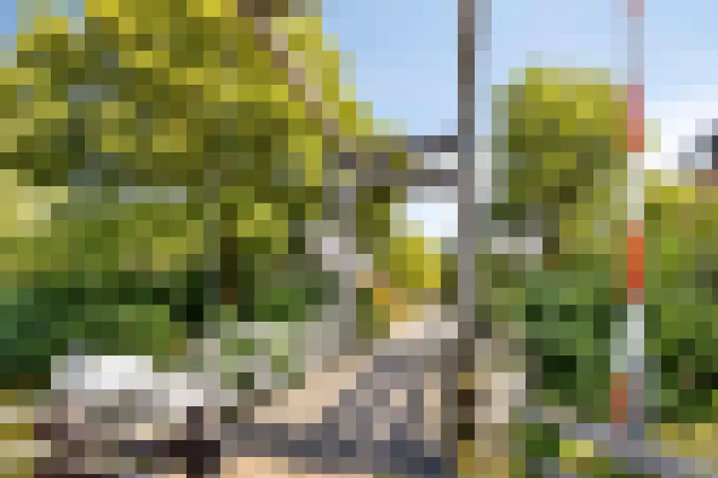 Rietvoorn 14 Zuid-Scharwoude thumbnail 35