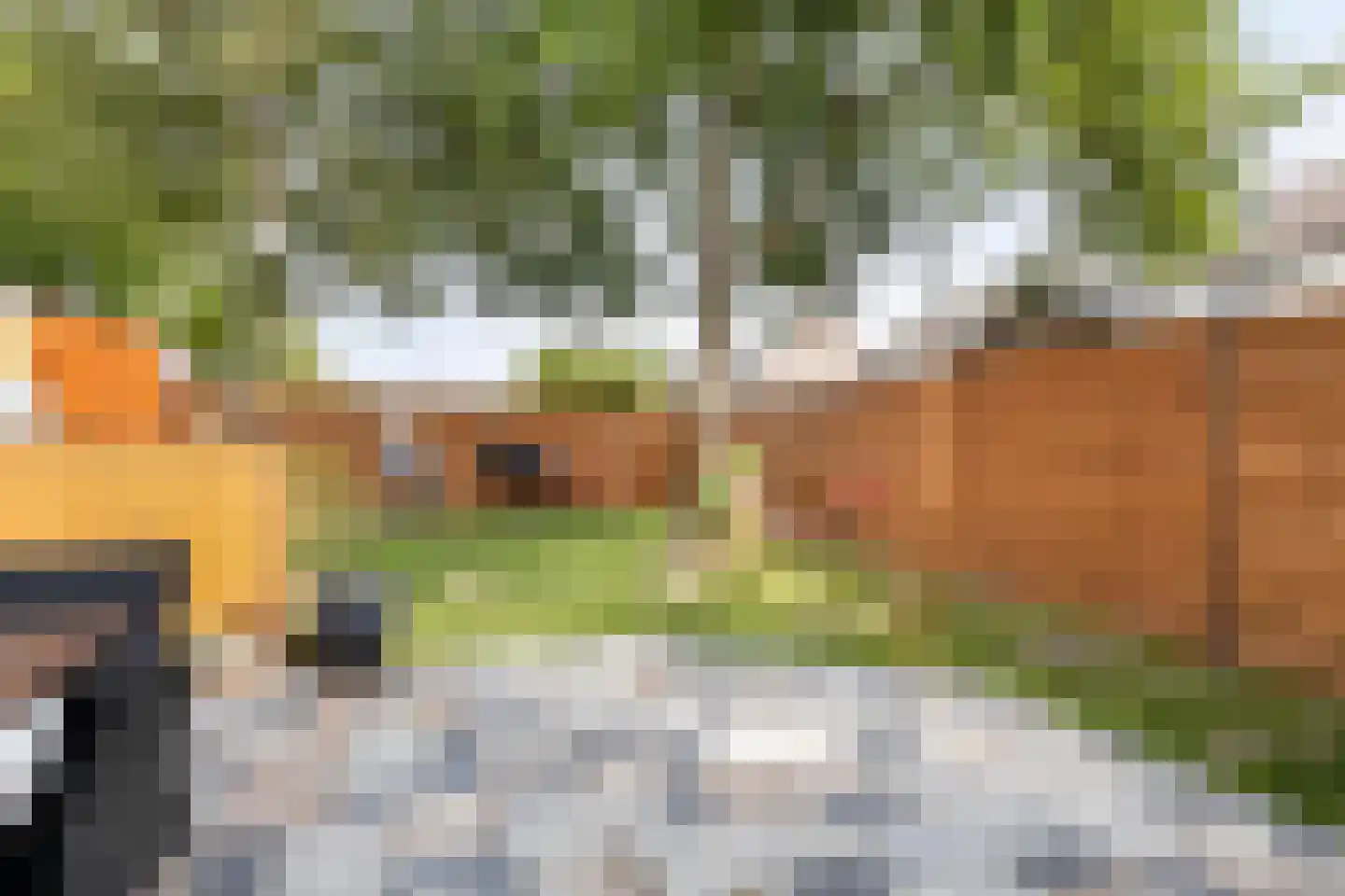 Rietvoorn 14 Zuid-Scharwoude thumbnail 4