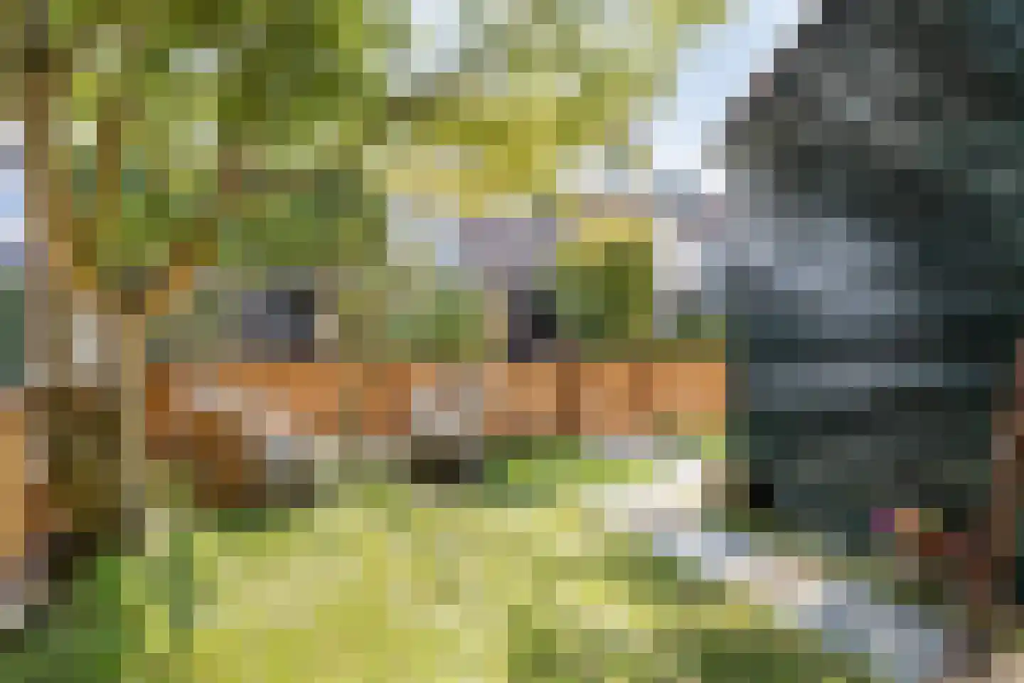 Rietvoorn 14 Zuid-Scharwoude thumbnail 6