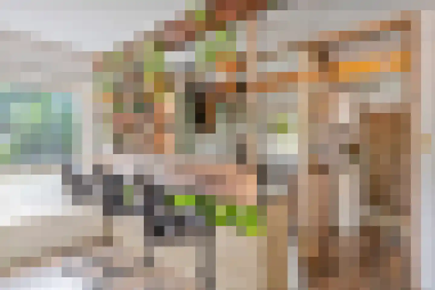 Rietvoorn 14 Zuid-Scharwoude thumbnail 9