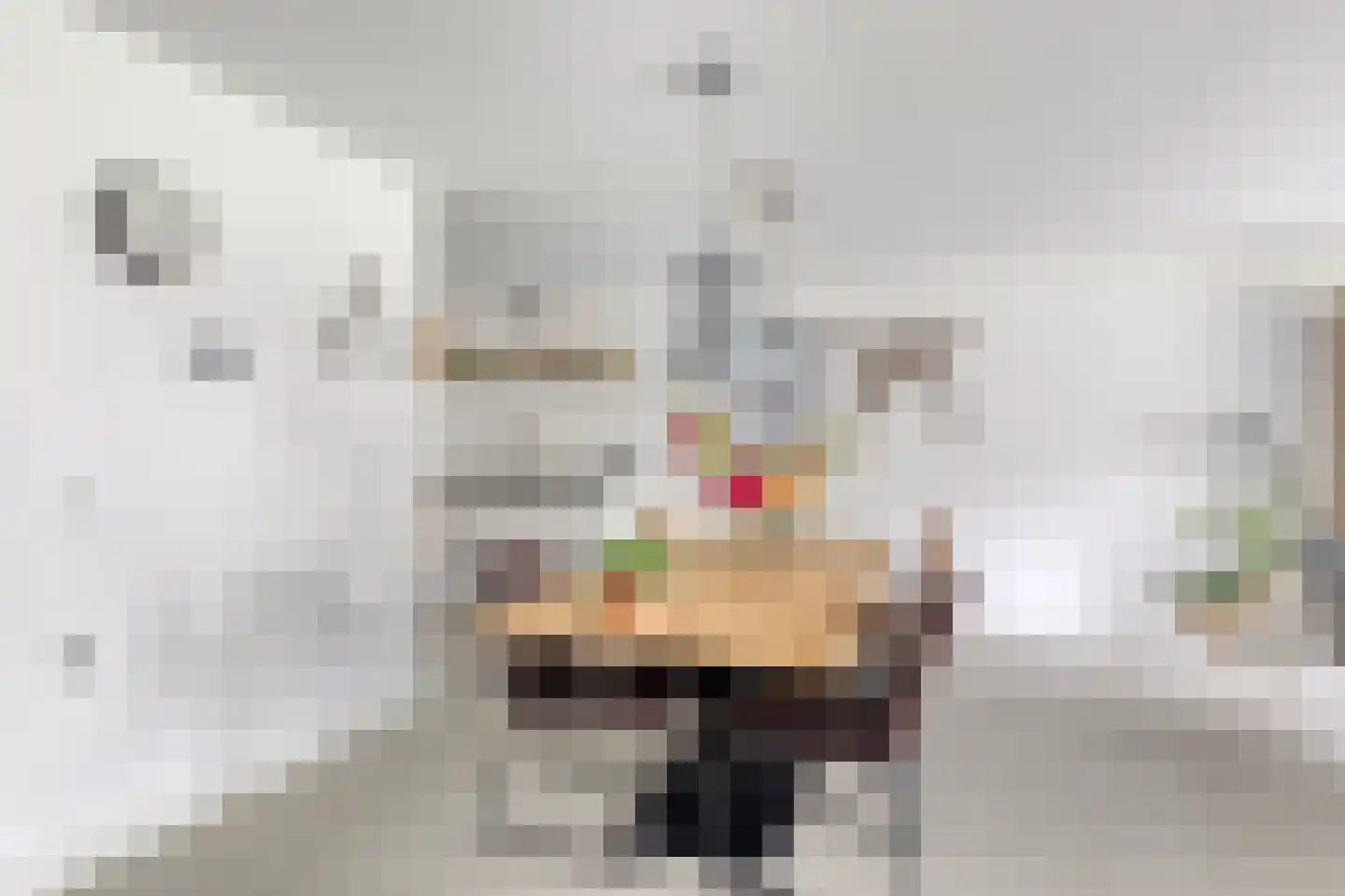 Rietvoorn 32 Amersfoort thumbnail 15