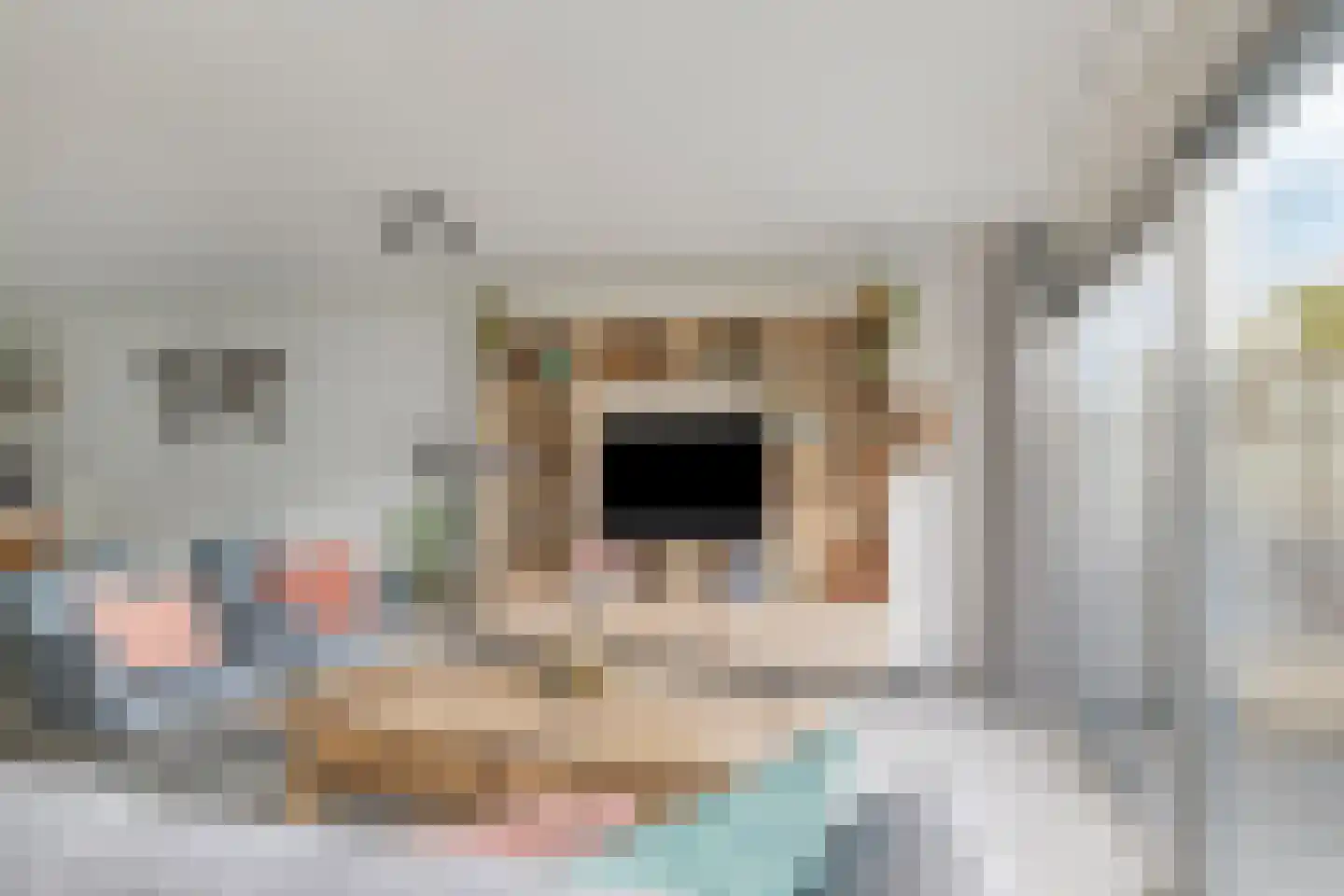 Rietvoorn 32 Amersfoort thumbnail 18