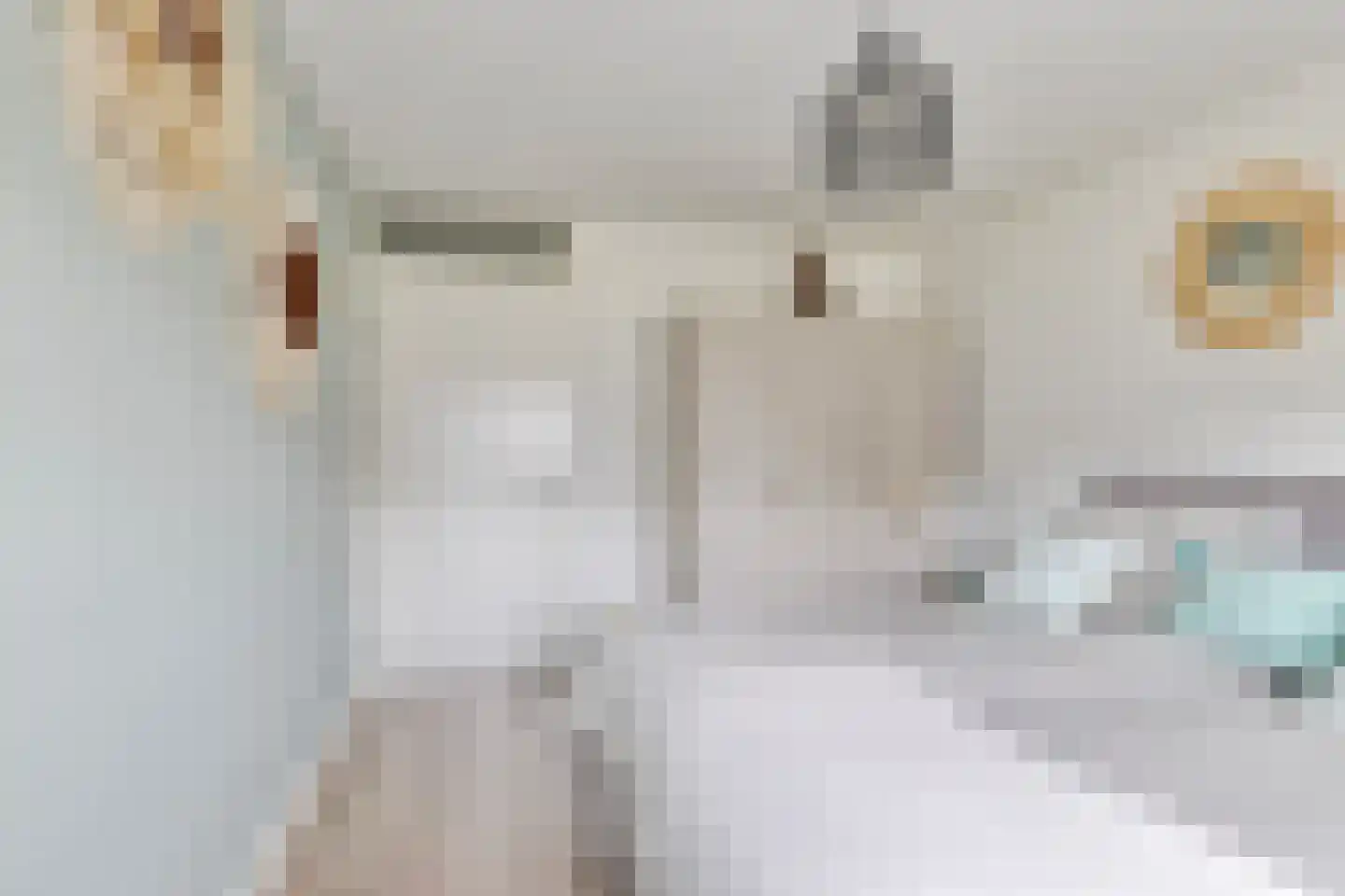 Rietvoorn 32 Amersfoort thumbnail 28