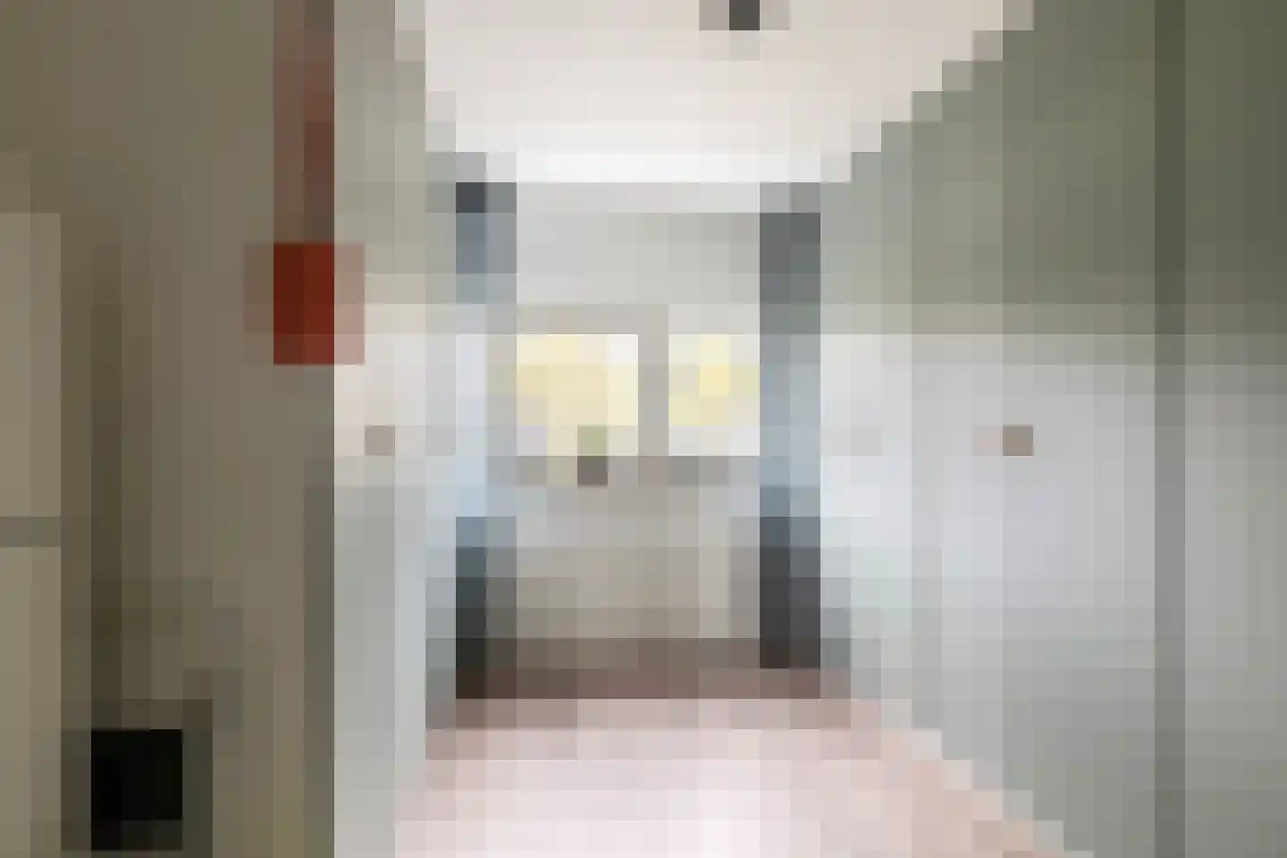 Rietvoorn 32 Amersfoort thumbnail 30