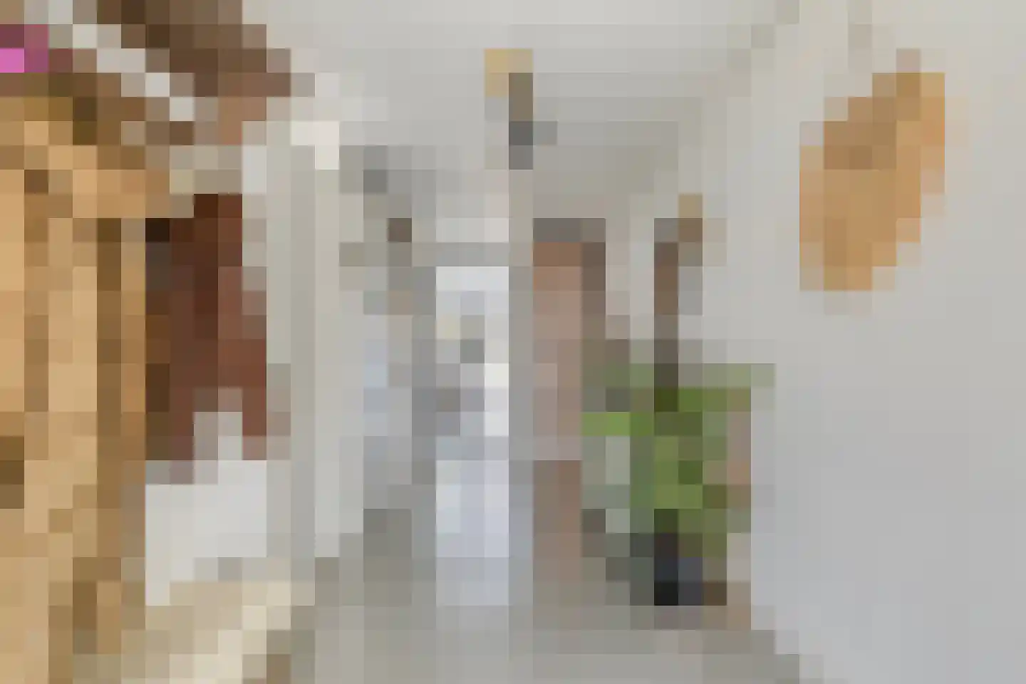 Rietvoorn 32 Amersfoort thumbnail 8