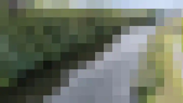 Rietvoorn 4 Doetinchem thumbnail 10