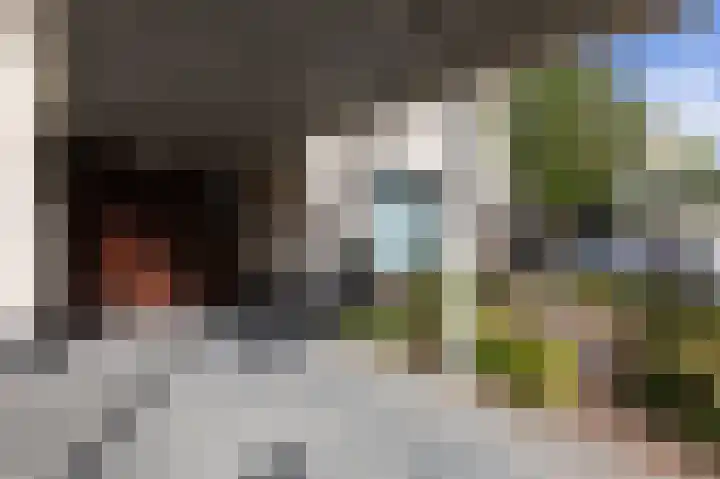 Rietvoorn 4 Doetinchem thumbnail 14