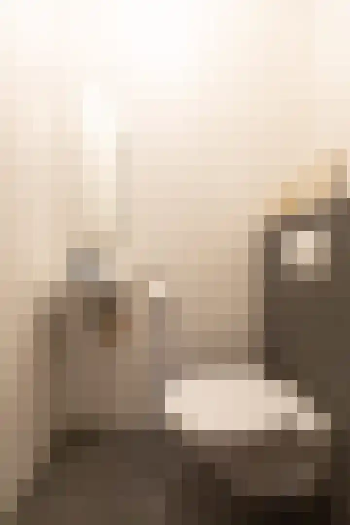 Rietvoorn 4 Doetinchem thumbnail 17