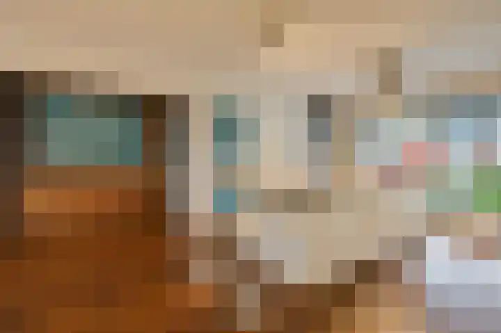 Rietvoorn 4 Doetinchem thumbnail 18