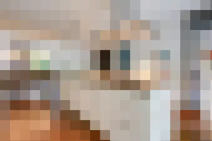 Rietvoorn 4 Doetinchem thumbnail 22