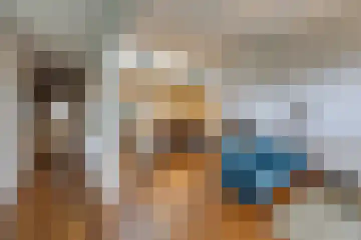 Rietvoorn 4 Doetinchem thumbnail 23