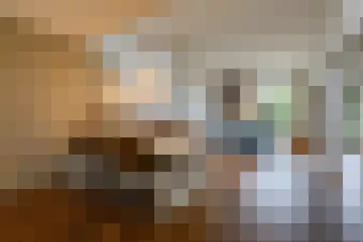 Rietvoorn 4 Doetinchem thumbnail 24