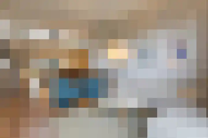 Rietvoorn 4 Doetinchem thumbnail 30