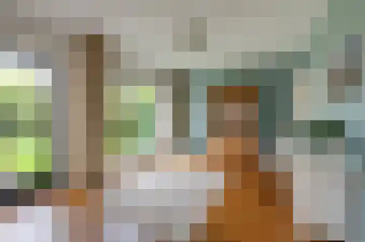 Rietvoorn 4 Doetinchem thumbnail 32