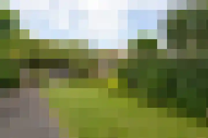 Rietvoorn 4 Doetinchem thumbnail 36