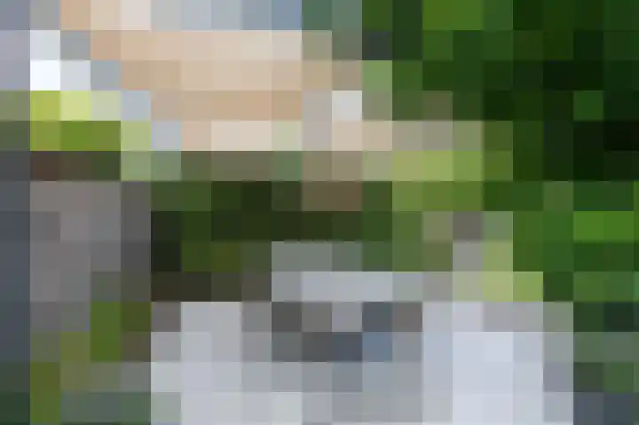Rietvoorn 4 Doetinchem thumbnail 38