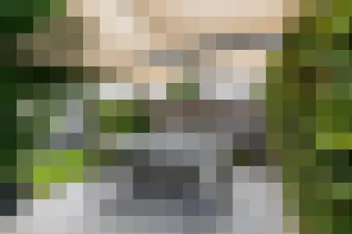Rietvoorn 4 Doetinchem thumbnail 39