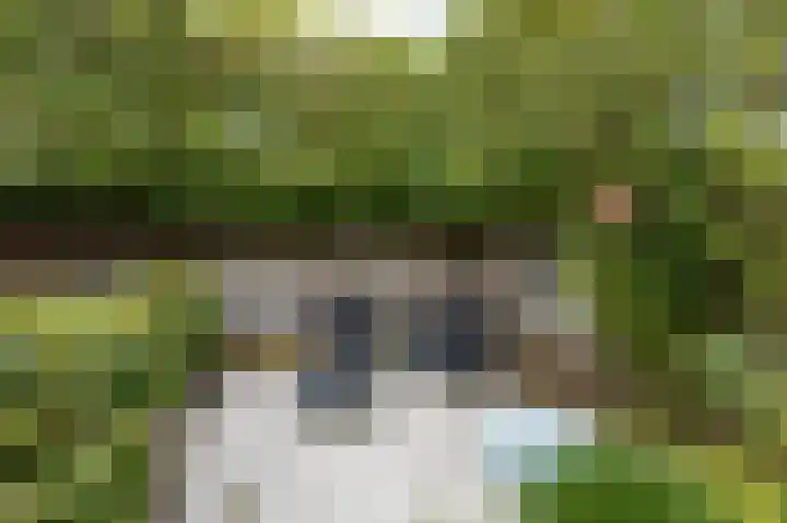Rietvoorn 4 Doetinchem thumbnail 40