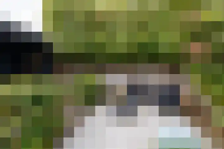 Rietvoorn 4 Doetinchem thumbnail 41