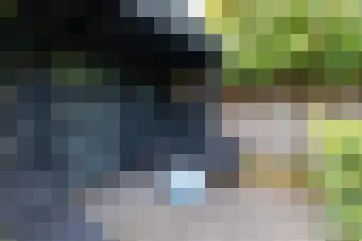 Rietvoorn 4 Doetinchem thumbnail 42