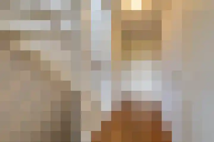 Rietvoorn 4 Doetinchem thumbnail 44