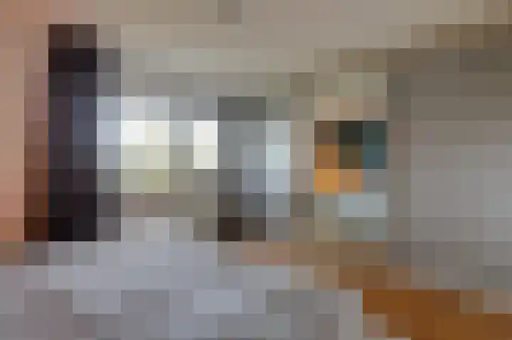 Rietvoorn 4 Doetinchem thumbnail 47