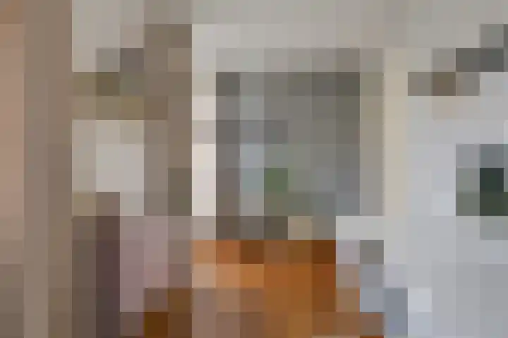 Rietvoorn 4 Doetinchem thumbnail 50