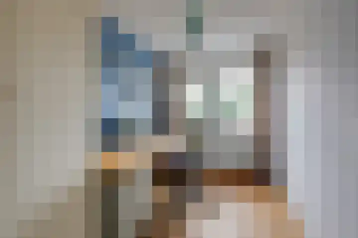 Rietvoorn 4 Doetinchem thumbnail 54