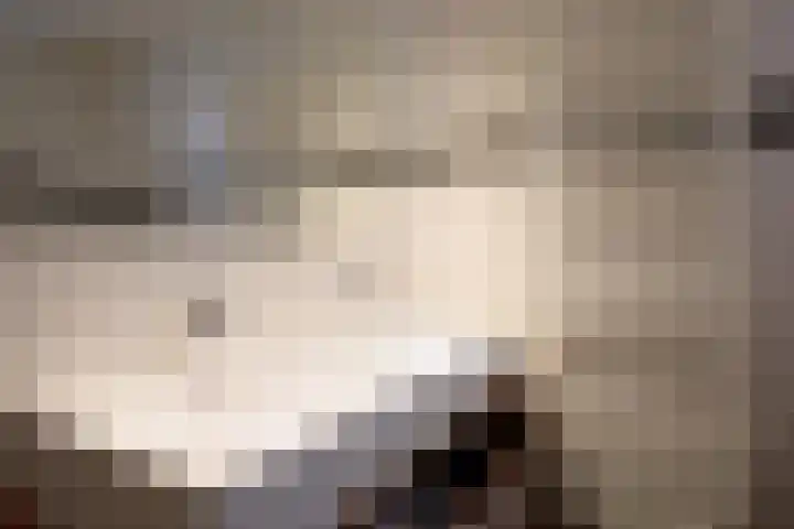 Rietvoorn 4 Doetinchem thumbnail 56