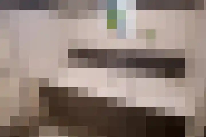 Rietvoorn 4 Doetinchem thumbnail 57