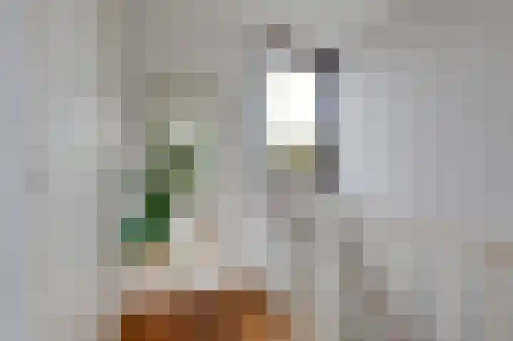 Rietvoorn 4 Doetinchem thumbnail 59