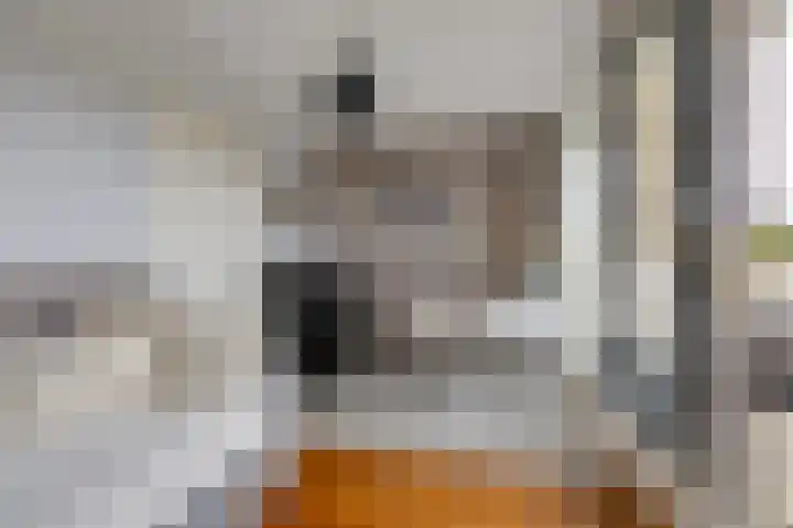 Rietvoorn 4 Doetinchem thumbnail 62