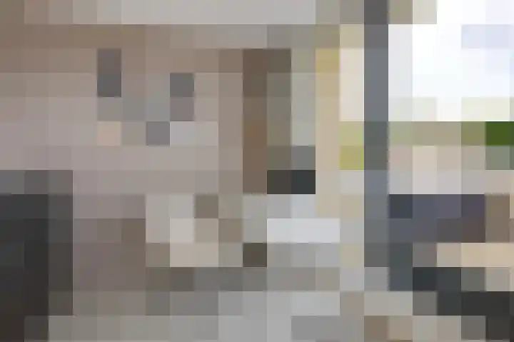 Rietvoorn 4 Doetinchem thumbnail 63