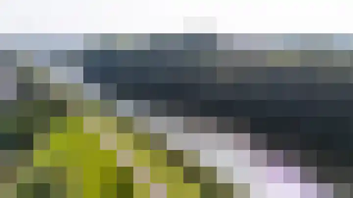 Rietvoorn 4 Doetinchem thumbnail 9
