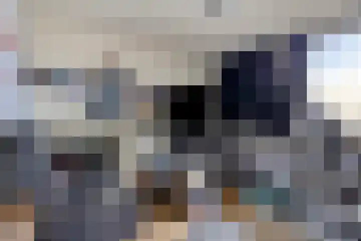 Rietvoornborch 2 Rosmalen thumbnail 13
